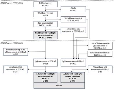 Determinants of immunoglobulin G responses to respiratory syncytial virus and rhinovirus in children and adults